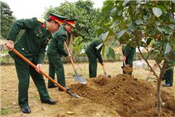 Trung đoàn 246 phát động Tết trồng cây Xuân Nhâm Dần 2022